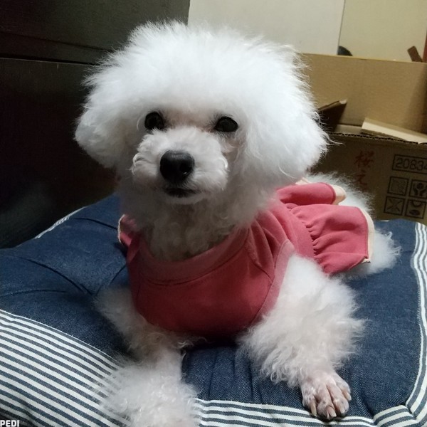 もっとちゃん