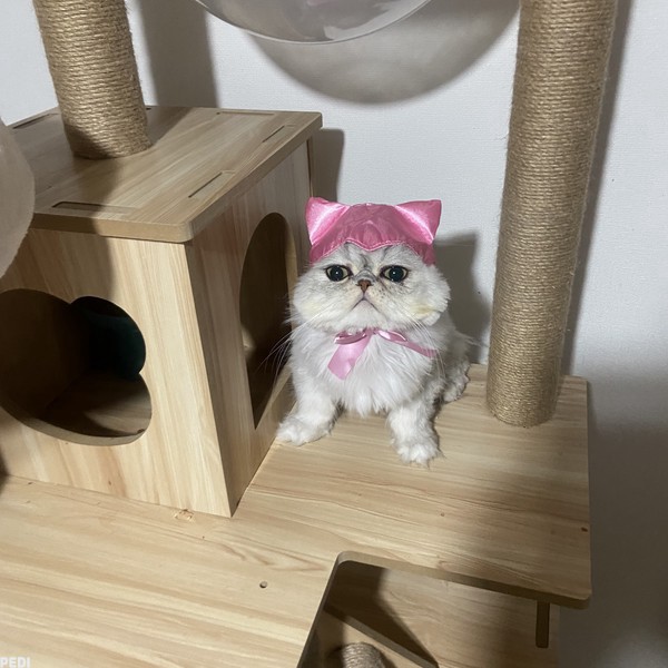 むたくん