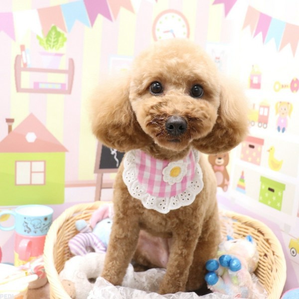 うにちゃん