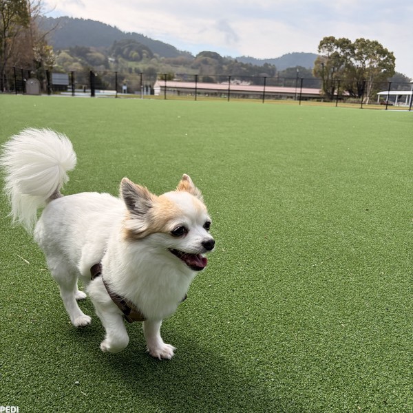 くーちゃん