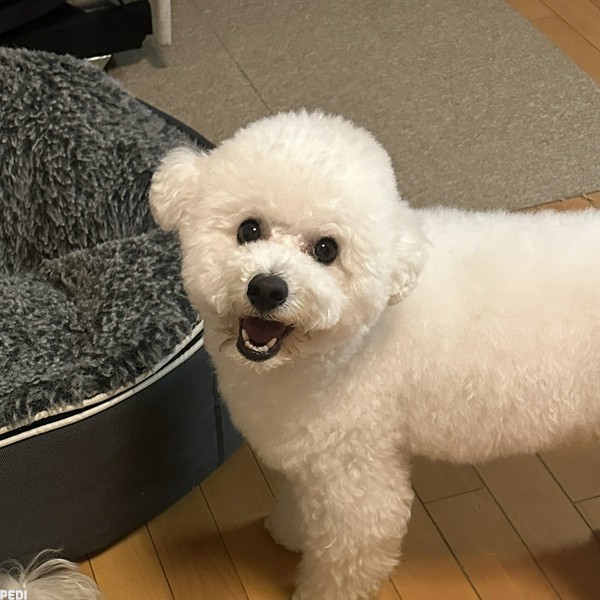 テツくん