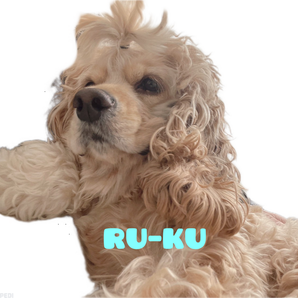 ルークくん