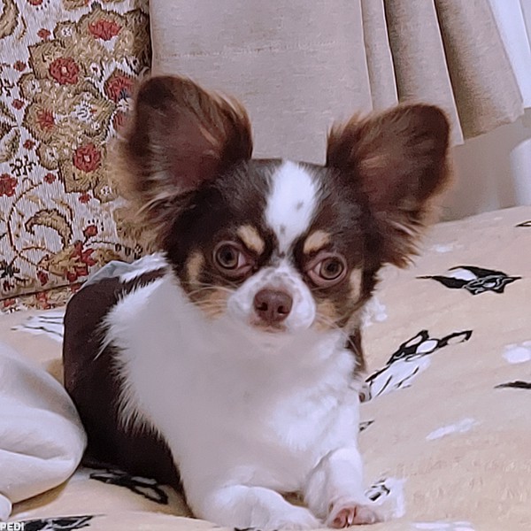 佐一くん