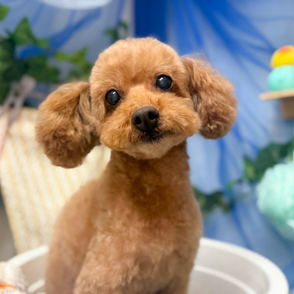 ららちゃん