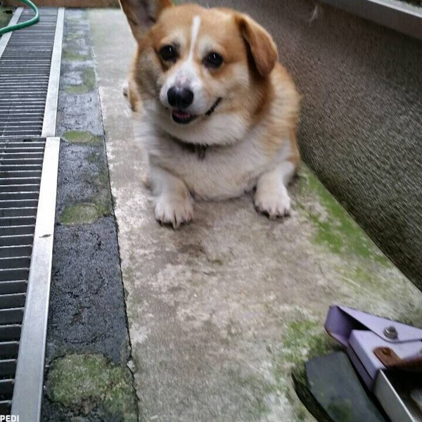 ソラくん