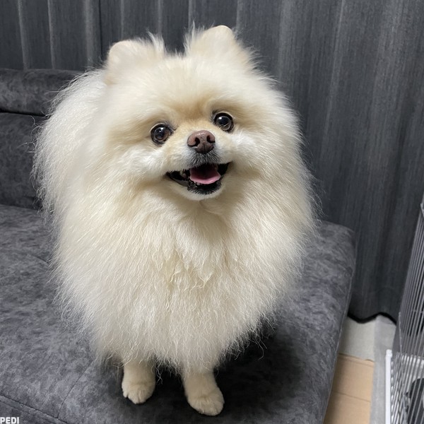 銀二くん