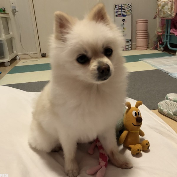 ミルキーちゃん