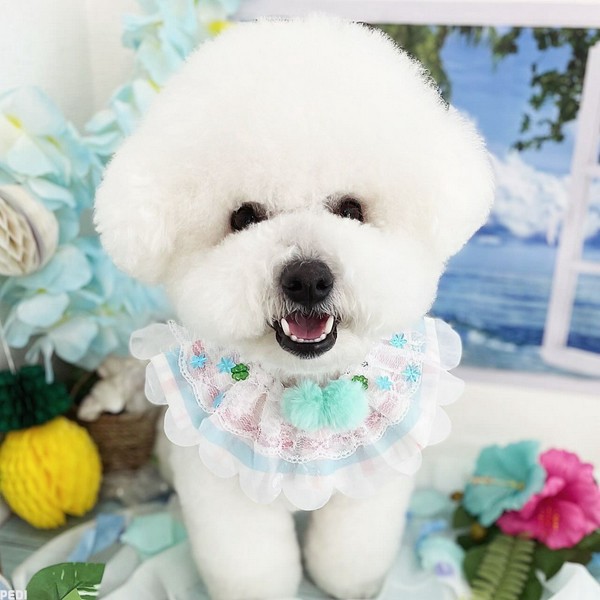 おもちくん