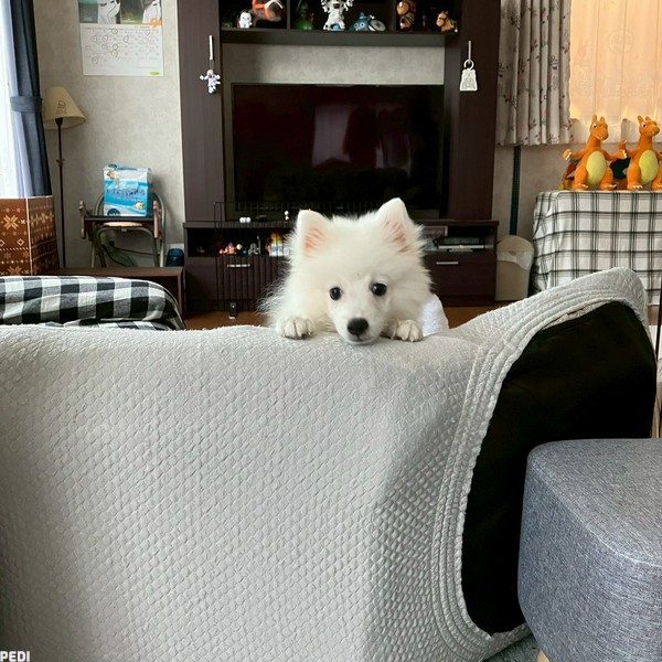 りおんくん