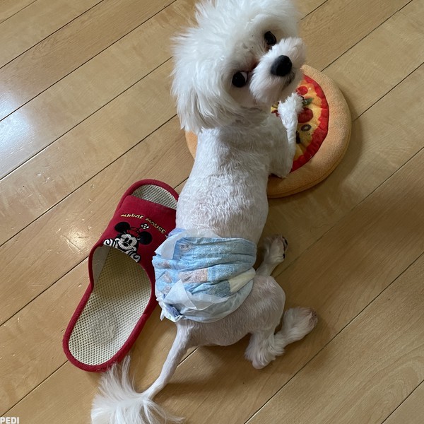 ジンベイくん
