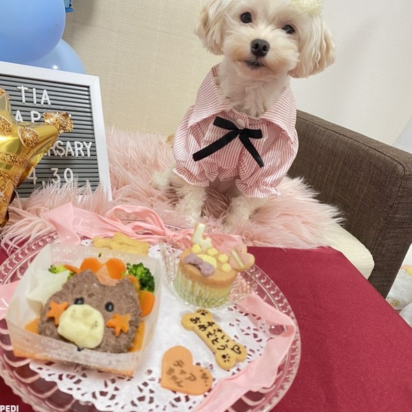 ティアちゃん