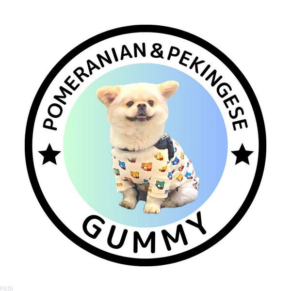 gummyくん