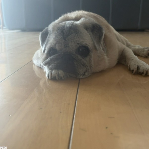 みくちゃん