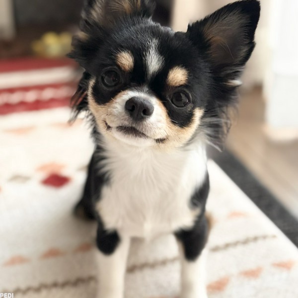 うららちゃん