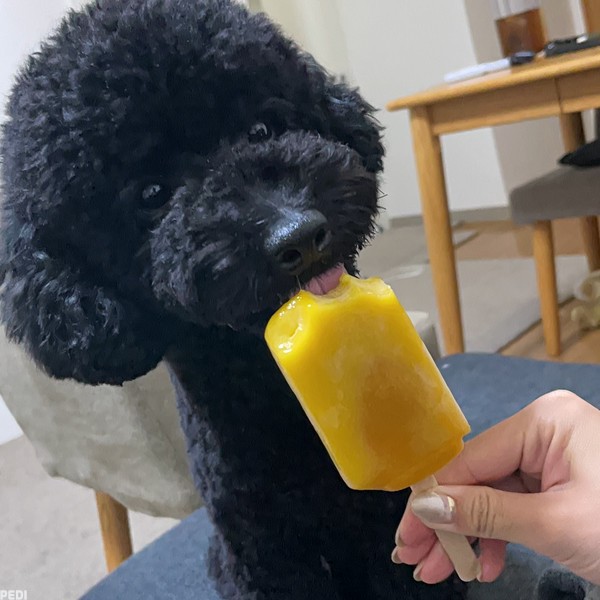 デクくん