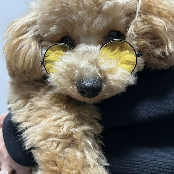 ももちゃん