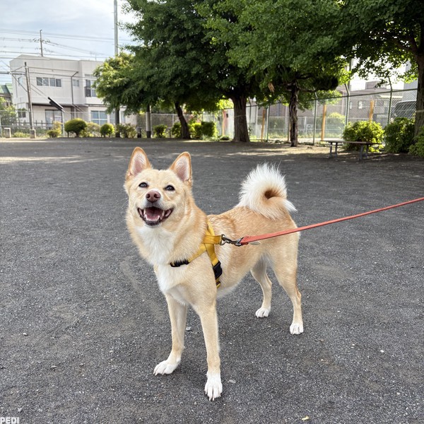つむぎちゃん