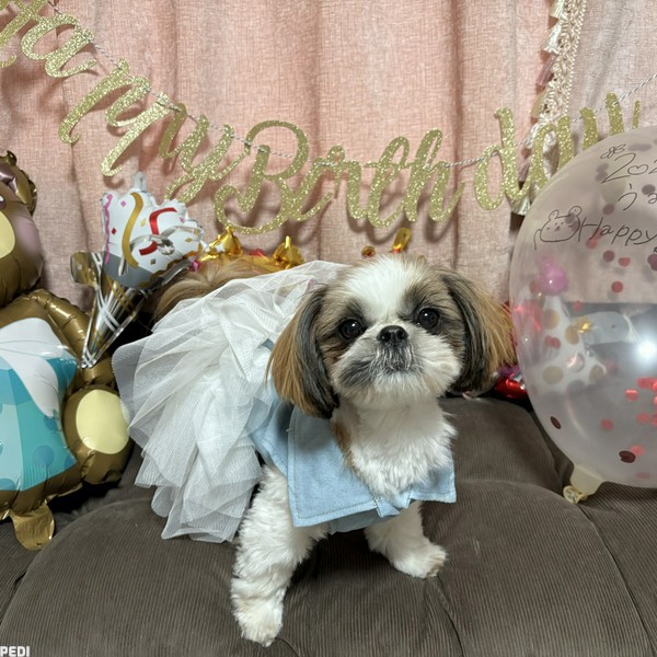 うみちゃん