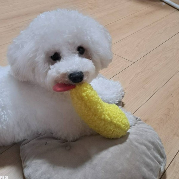 ウィルくん