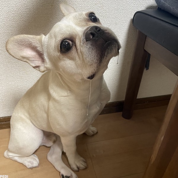 ポテトくん