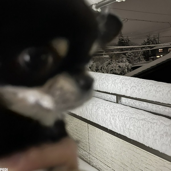 るなちゃん