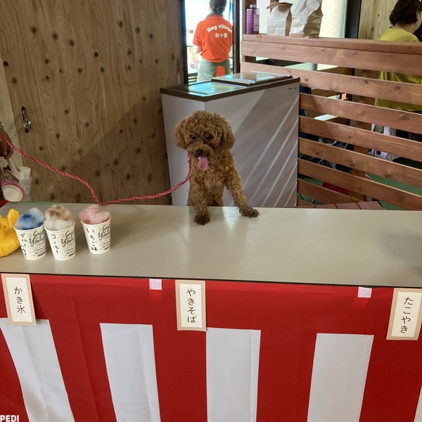 メイちゃん