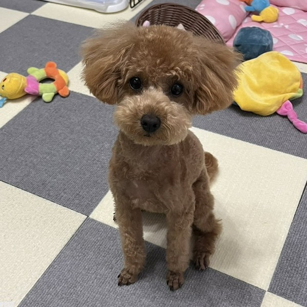 エマちゃん