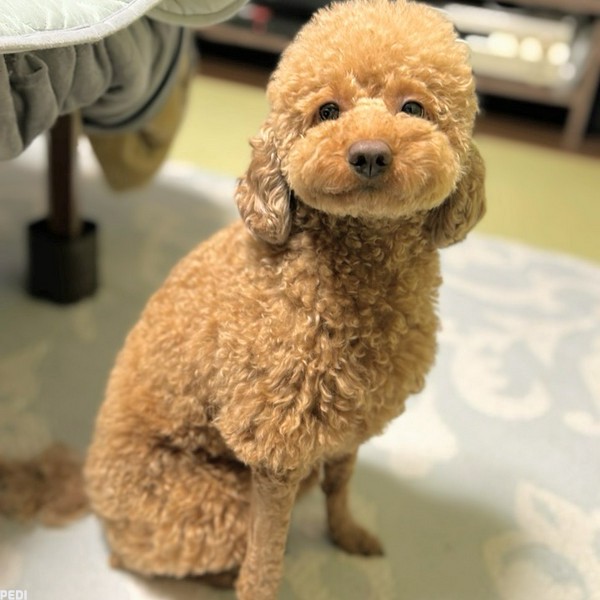 蒼生くん