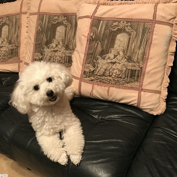 シンディーちゃん