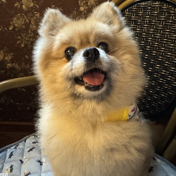 いなりちゃん