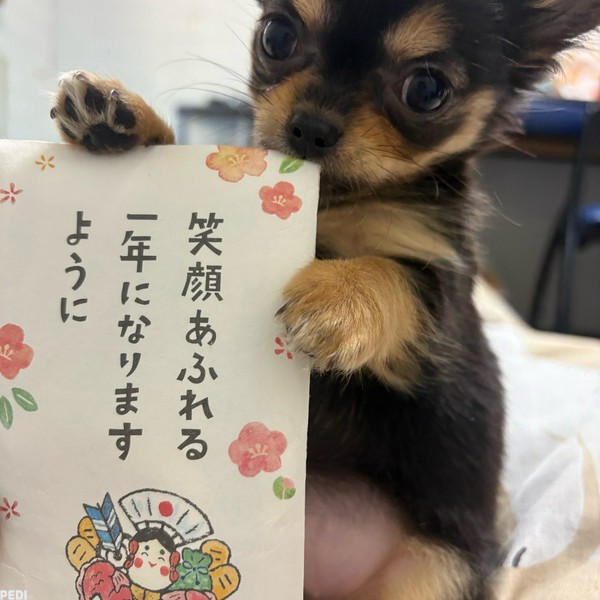 つきちゃん