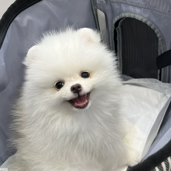 ミルちゃん