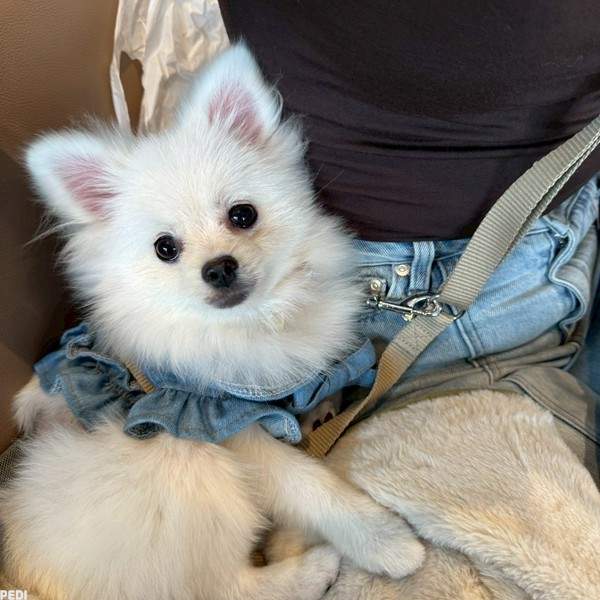 アムちゃん