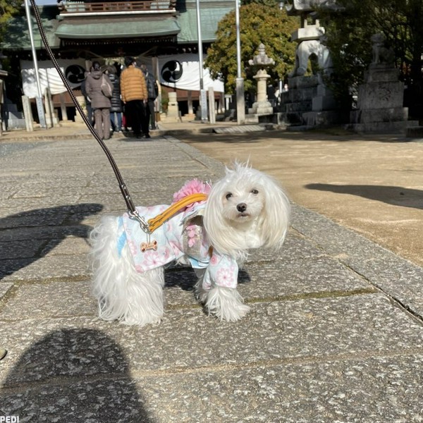 リモーネちゃん