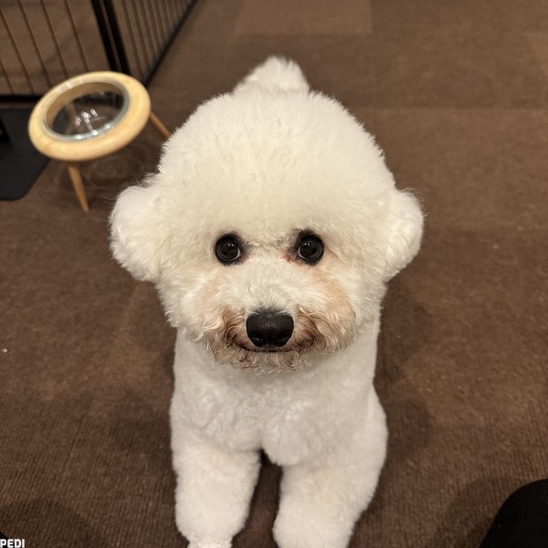 ロゼちゃん