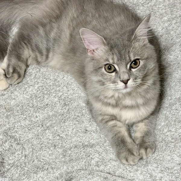 瑠璃(るり)ちゃん