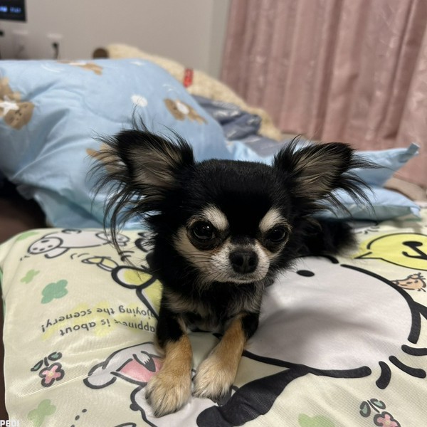 姫ちゃん