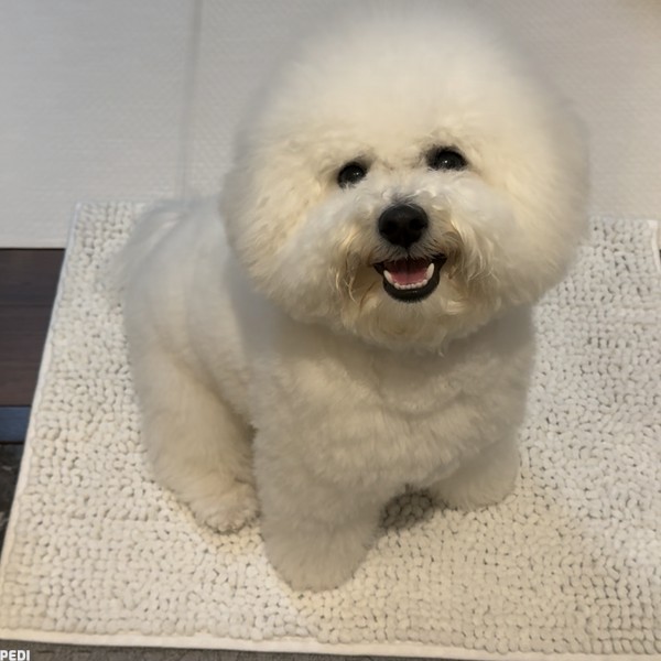 ななたくん