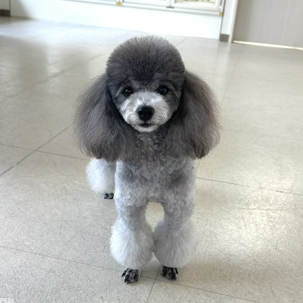 ラヴちゃん