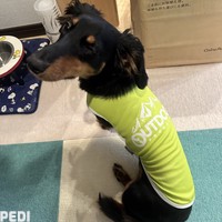 ぽっけくん