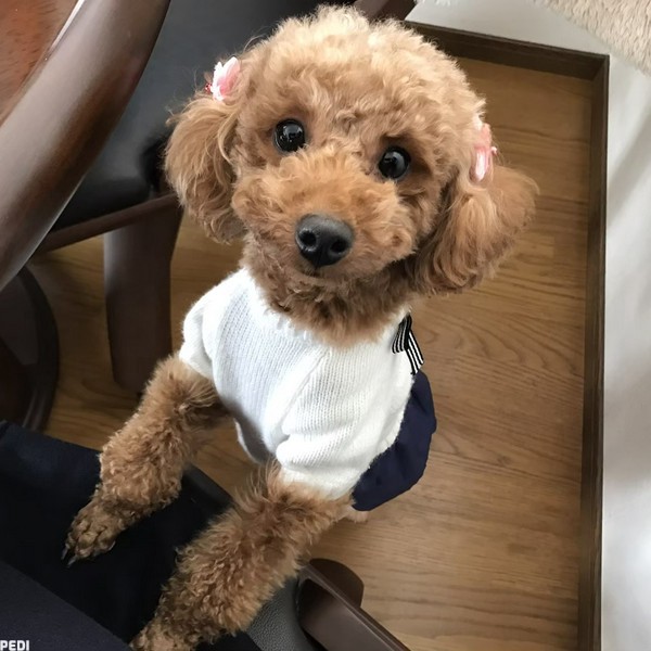 ネオンちゃん