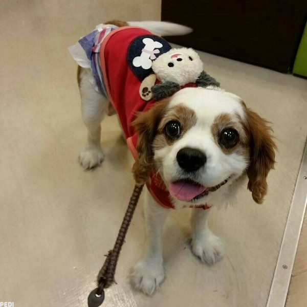 ミルクちゃん