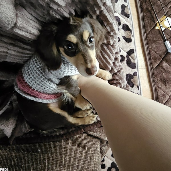ラテちゃん