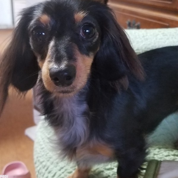 チュラちゃん