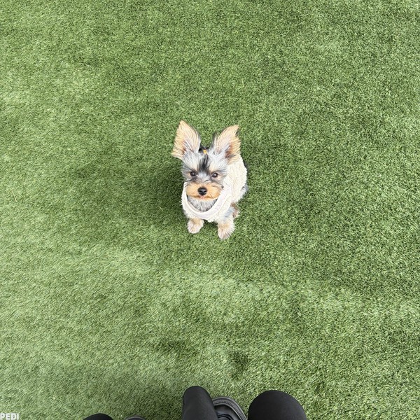 キキちゃん