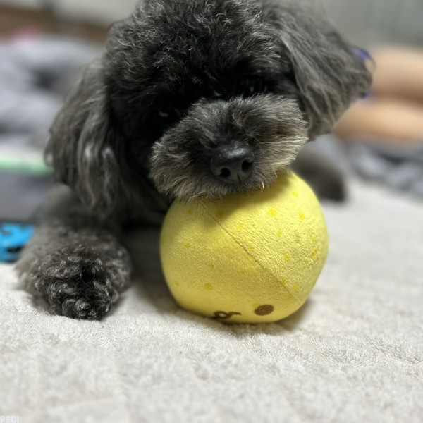 もかちゃん