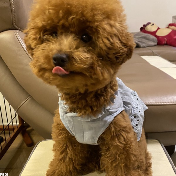むぎちゃん