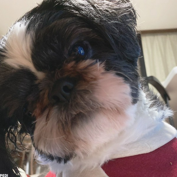 れおんくん