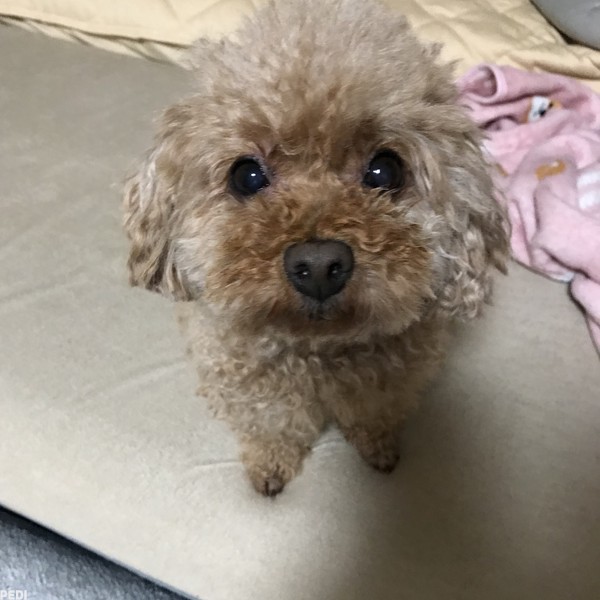 むぎちゃん