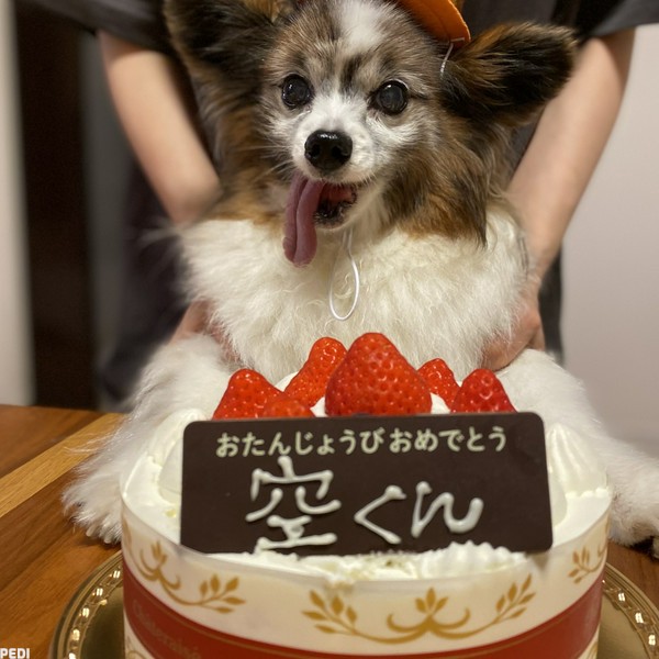 空くん